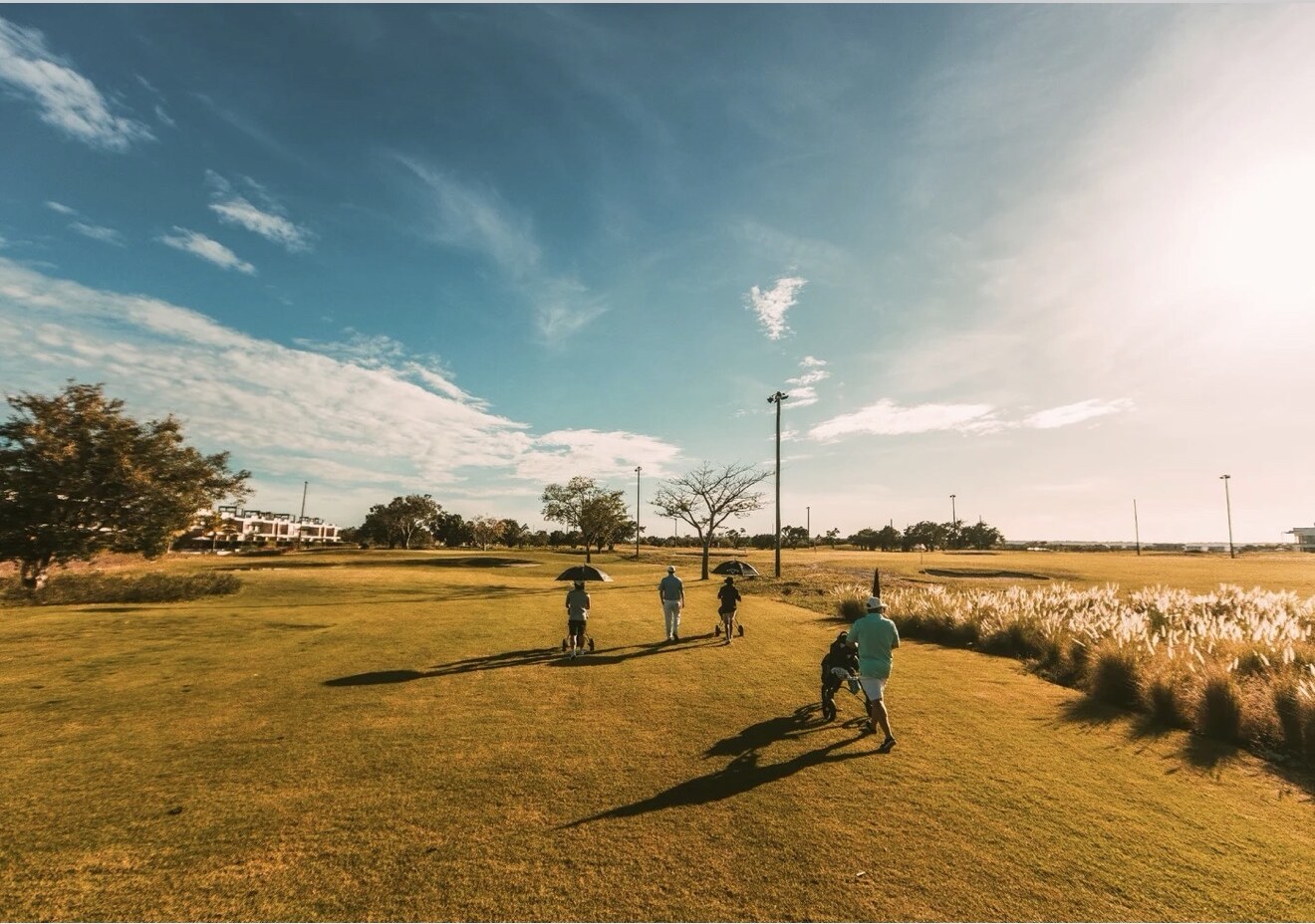 Campo de golf